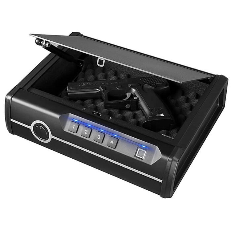 PISTOL SAFE